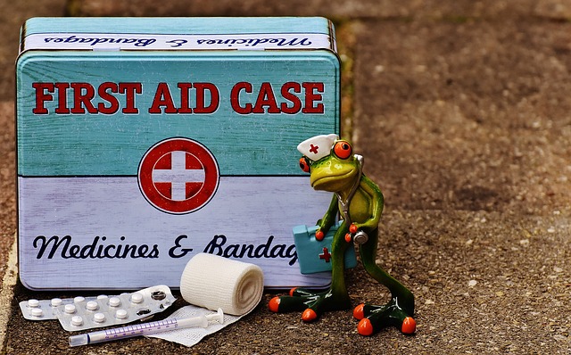 first-aid-1732710_640.jpg
